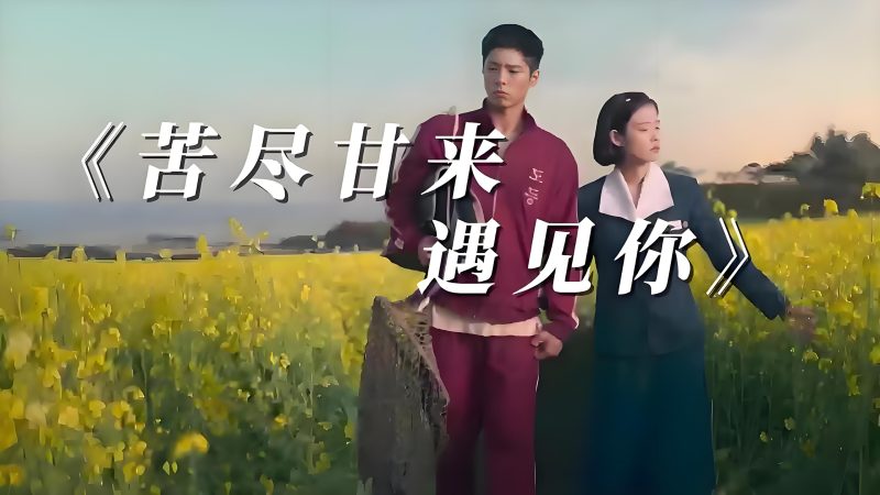 【韩剧】苦尽甘来遇见你-CC资源